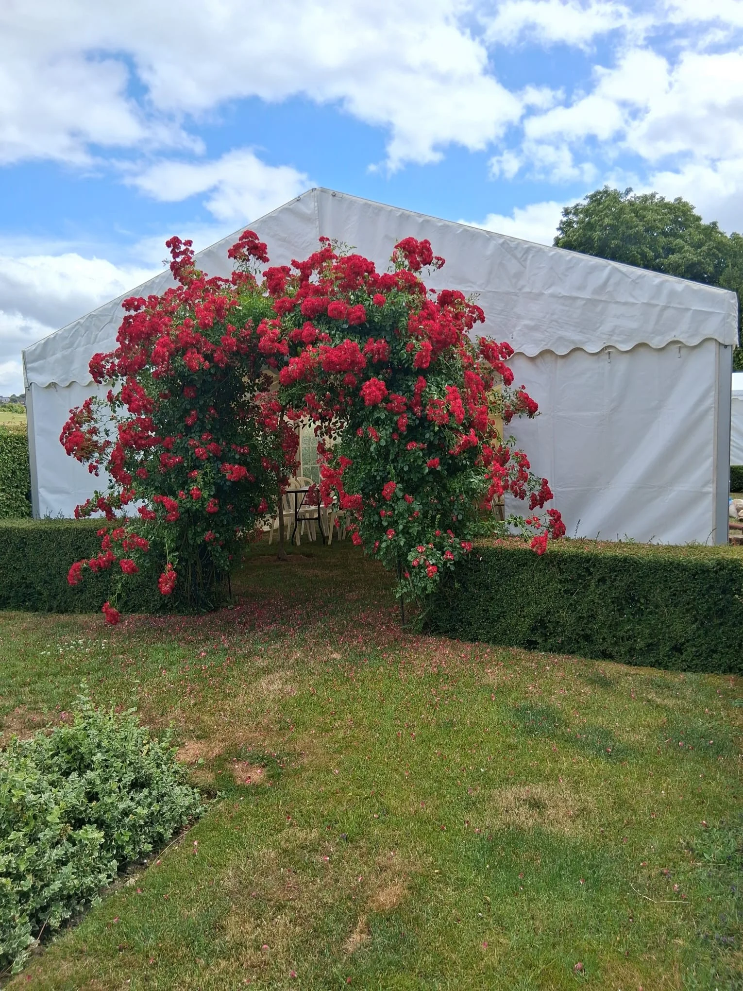 Furnished entrance to marquee