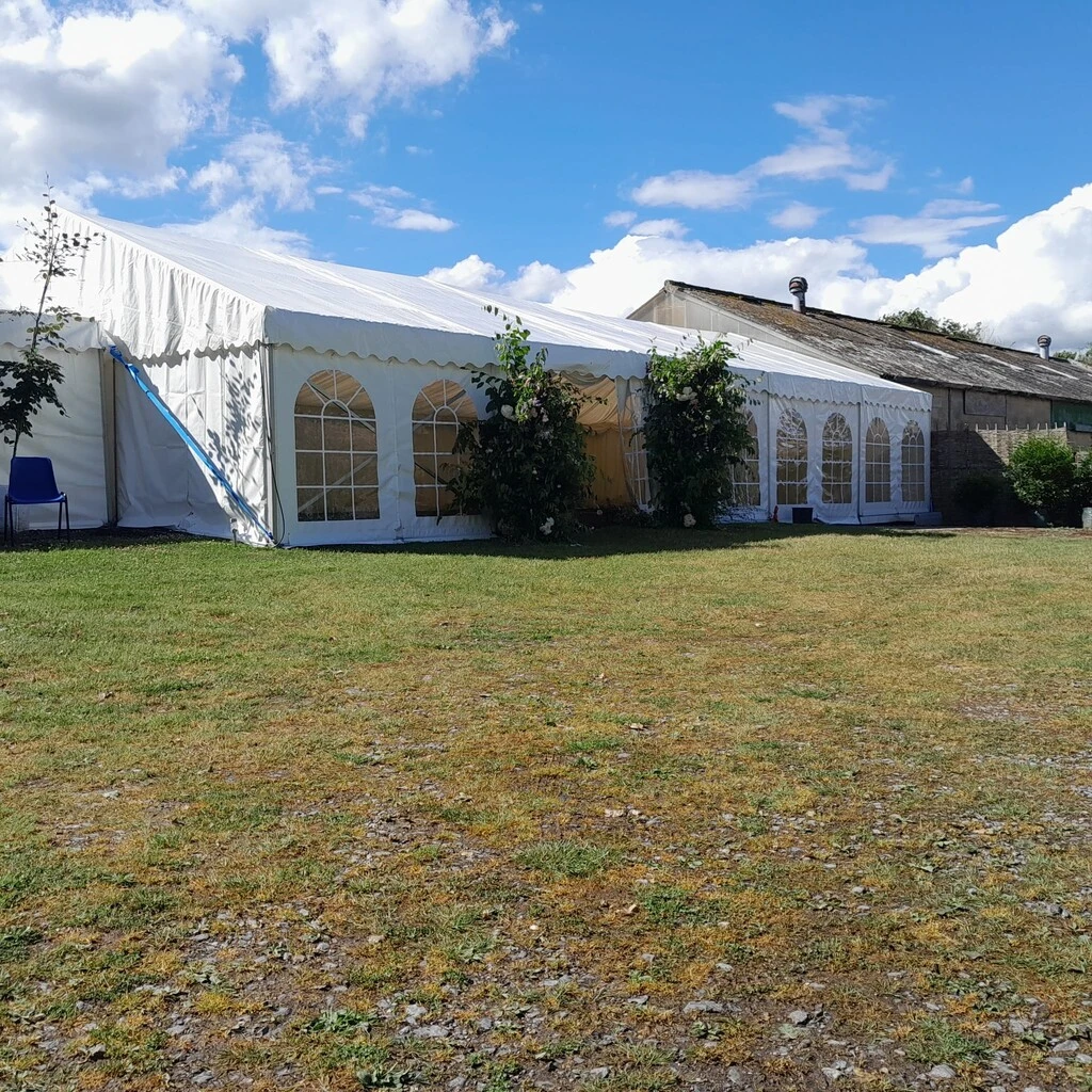 Evening marquee party